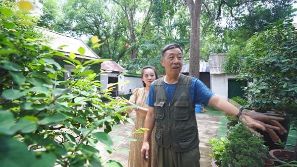 潍坊青州市：美丽庭院 40年的老院 满满的乡愁