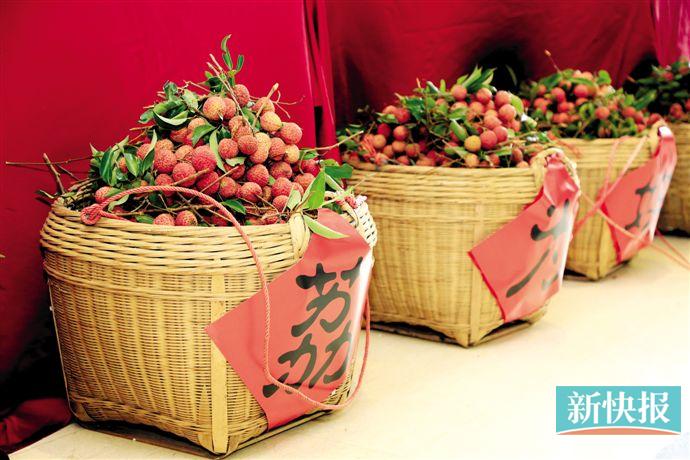 荔枝为媒迎客来 2020增城荔枝节启动