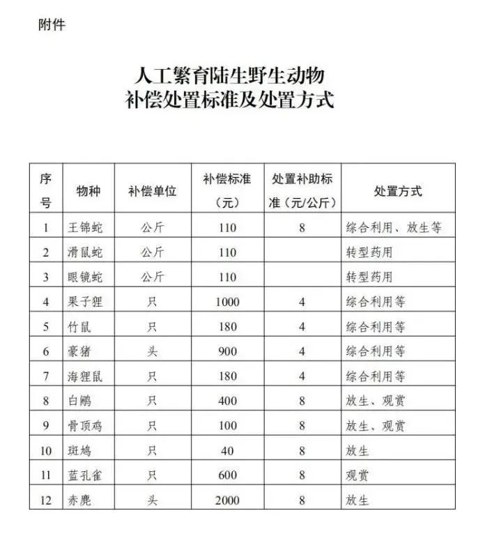 竹鼠180元/只,果子狸1000元/只,还有