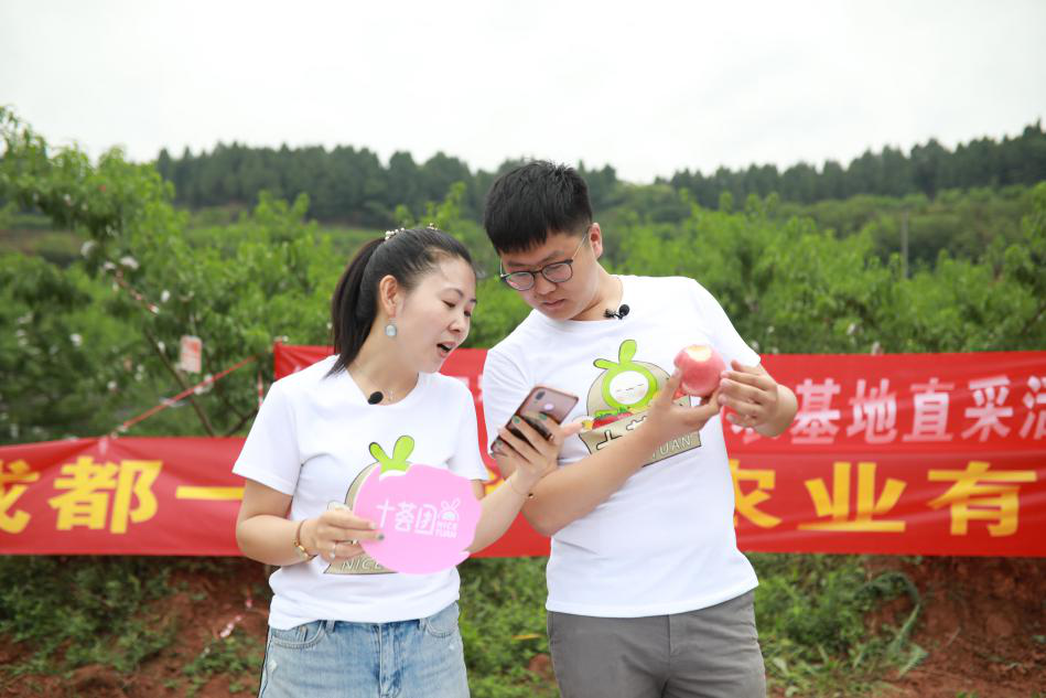 十荟团打造"直播"助农新样本 深入产地助力乡村产业发展