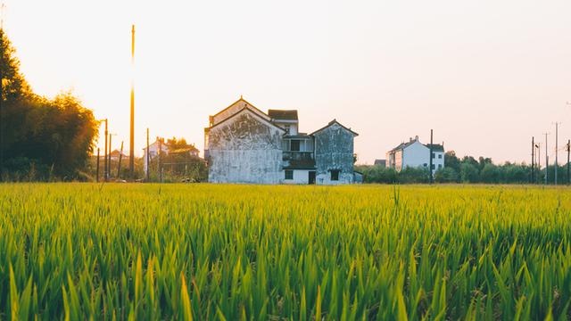 河南驻马店：协议无效！检察机关抗诉一房屋所有权纠纷案