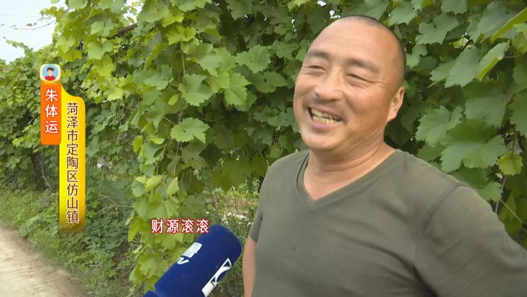 难以置信定陶一位大哥差点被自己养的鸟踹骨折没错真是鸟