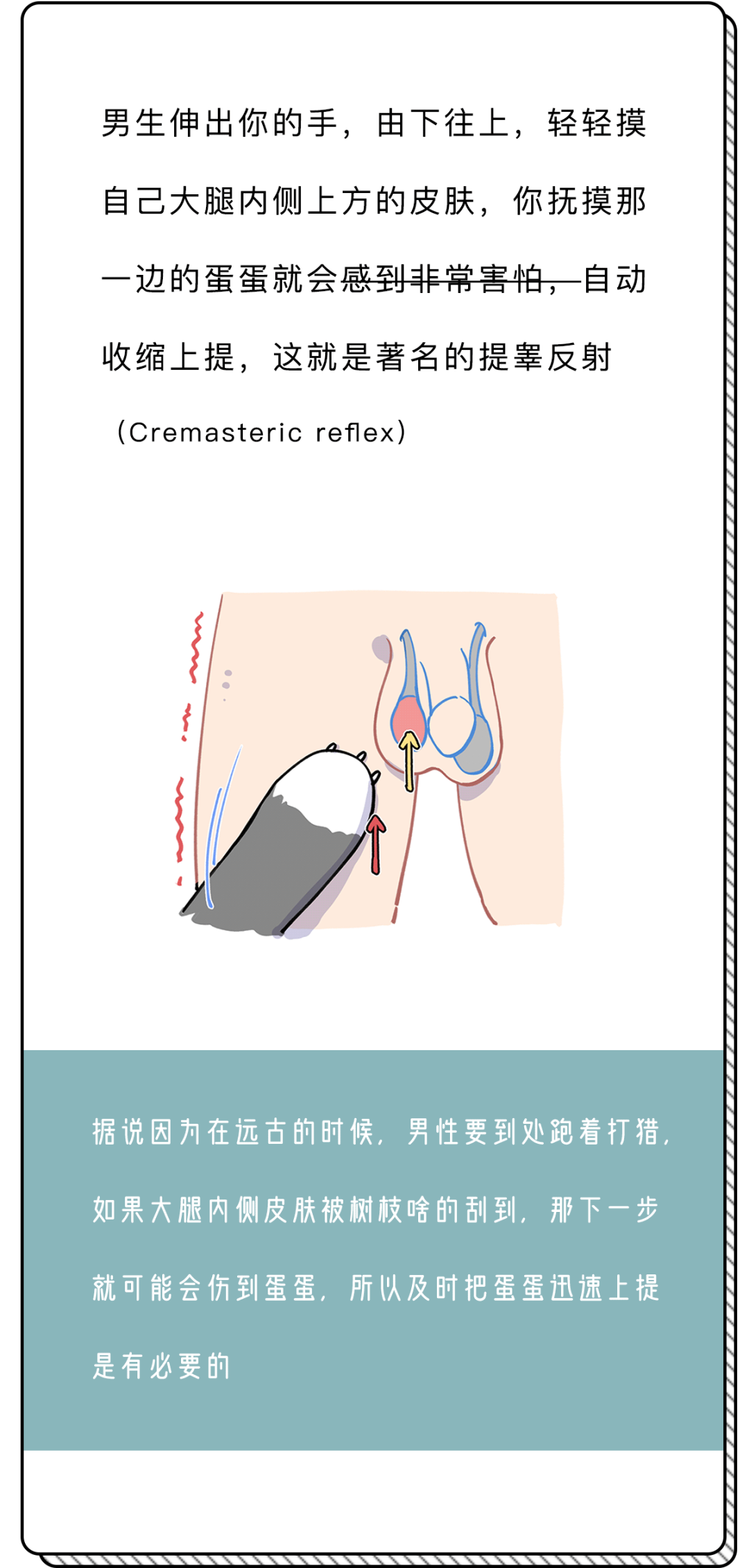 0版」你一定不知道自己的身体有多好玩!