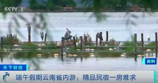 端午假期有机票低至百元？！云南：民众远游仍有顾虑，跨省游信心不足休闲区蓝鸢梦想 - Www.slyday.coM