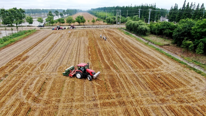 扬州大学院士团队国内首次尝试水稻种植"无人化"