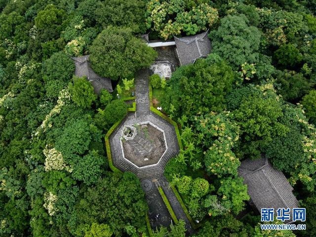 雨后天马山 天马山 佘山国家森林公园 新浪新闻