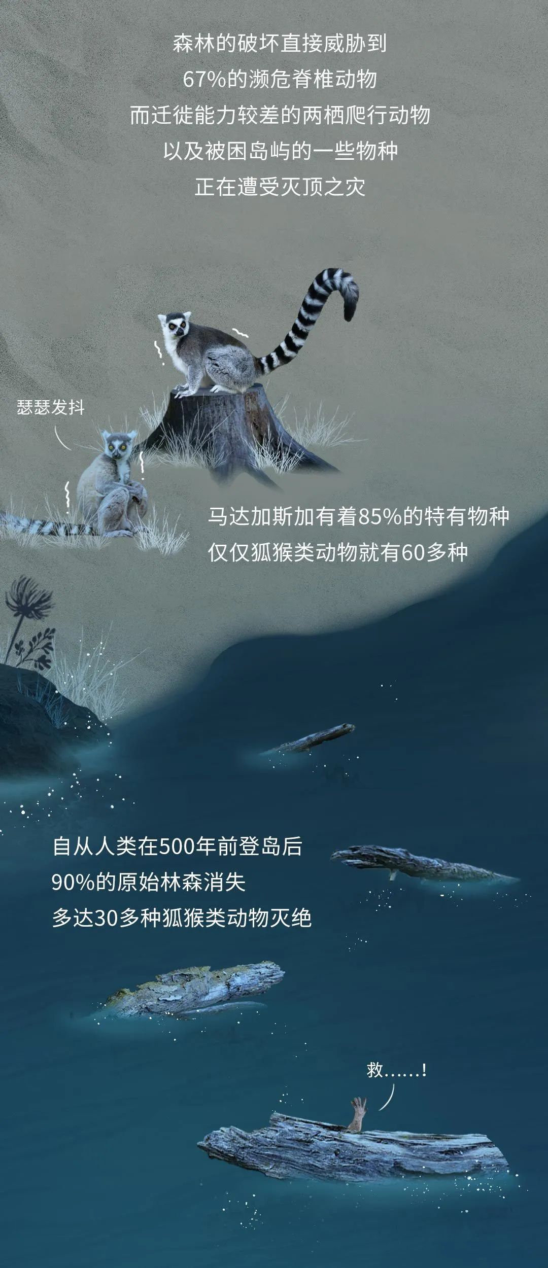 每过一分钟,就有一个物种在地球上彻底消失|灭绝|渡渡鸟|分解者_新浪