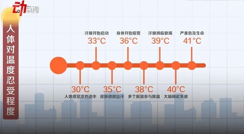 长期吸入甲醛,人体免疫力会降低,且影响人体正常各种机能.