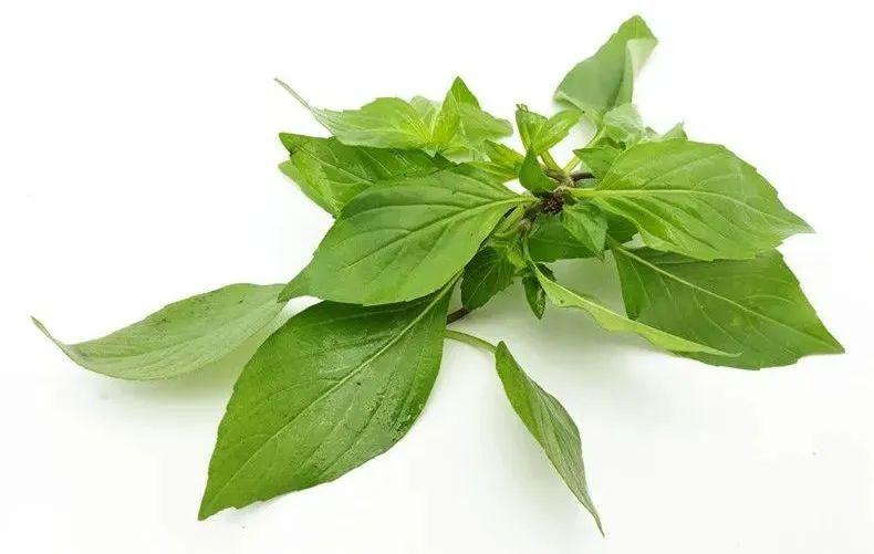 客家人的"金不换",万物皆可放!