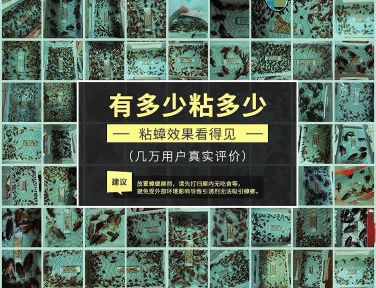 自从有了这间“房”，蟑螂主动回家、轻松一窝端！