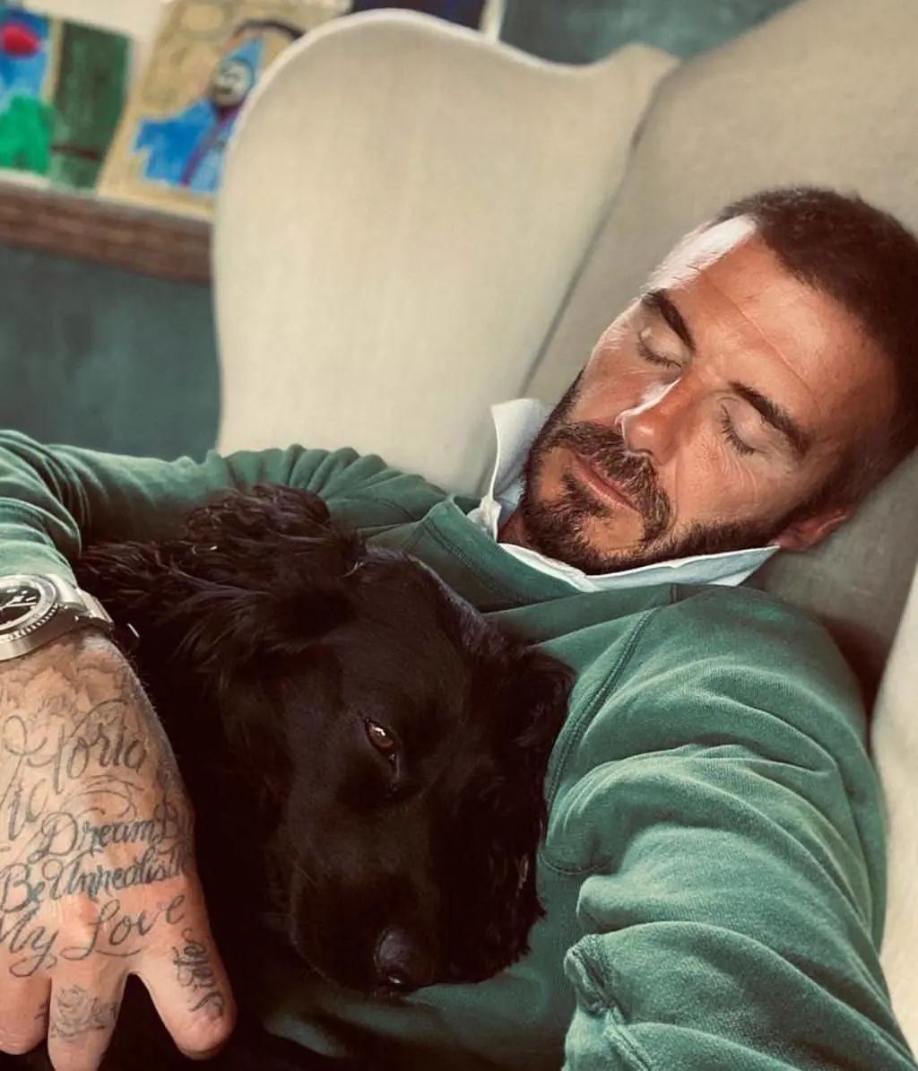 贝克汉姆家三位父亲同框小贝印花衫配长裤与和老爸穿成亲子装