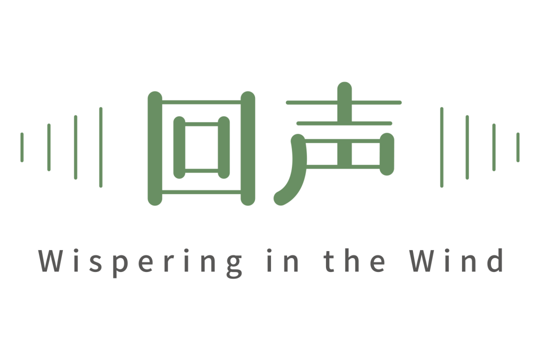 是时候了,该放下的,就放下吧 | 回声
