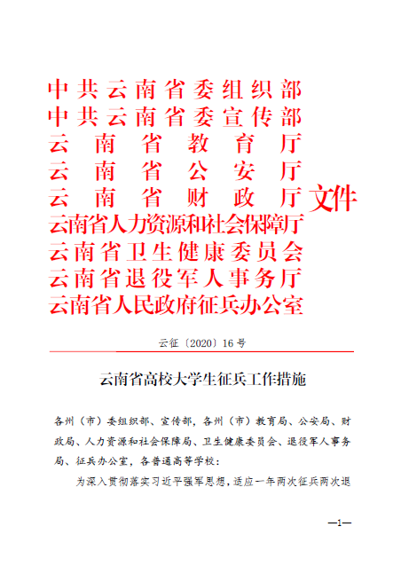 云南省2020专科学校_2020年云南高职扩招录取结果查询考生须知