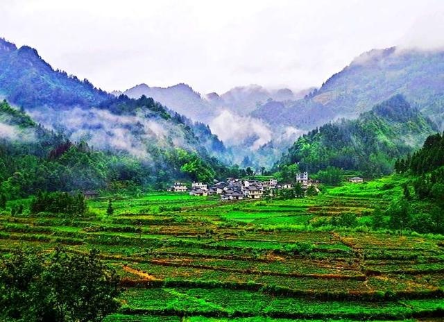 6月21日 曾凡勇摄于龙山县红岩溪镇肖家坪村        【来源:新湖南】