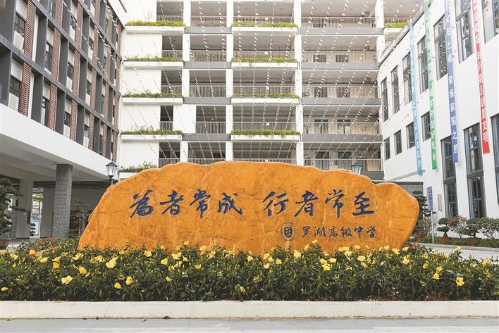 你不知道的罗高,请了解一下