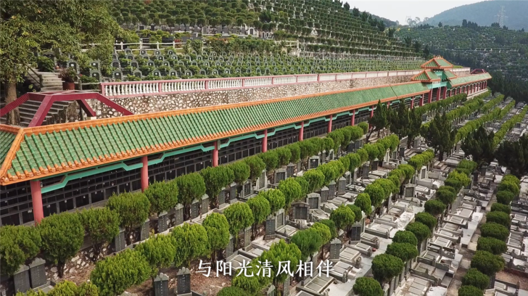 南宁青龙岗人文纪念公园端午传统文化祈福活动即将开启!