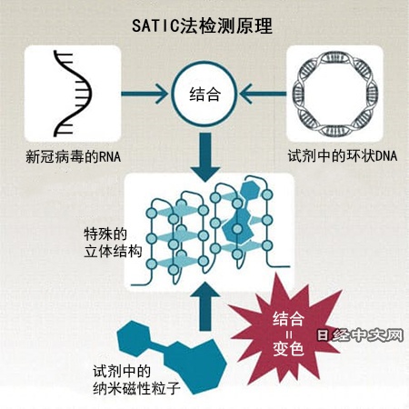 唾液 pcr