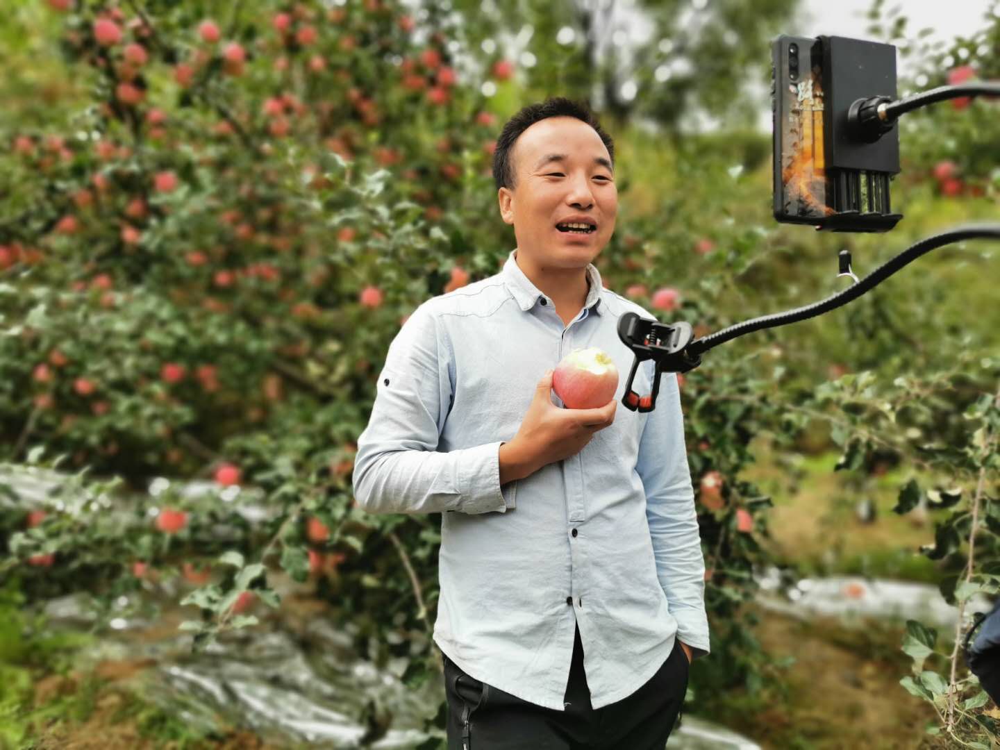 农民主播杜小斌直播卖苹果.受访者供图
