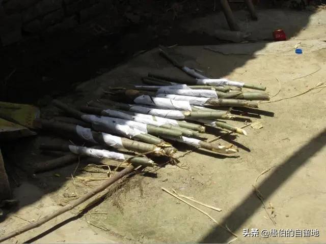 柳棍上缠上白纸,在农村里叫"哭丧棒",插在坟头上的哭丧棒越多,预示着