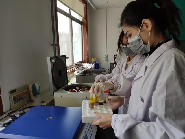 市检验检测中心提前完成600批次水果监督抽检任务