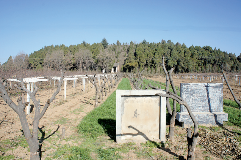 【陕西文物览】隋帝陵——隋文帝泰陵西部网 2020-06-24 09:12:16