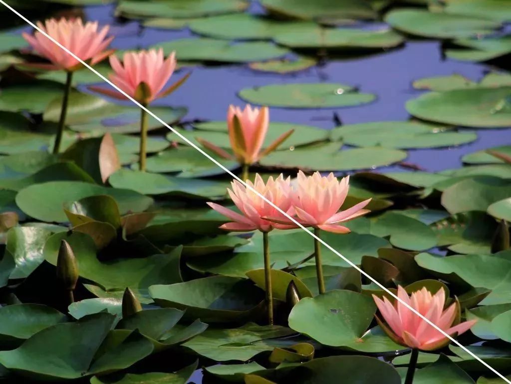 还有就是分布于画面两个对角上的同类物体,也可以算是对角线构图的一