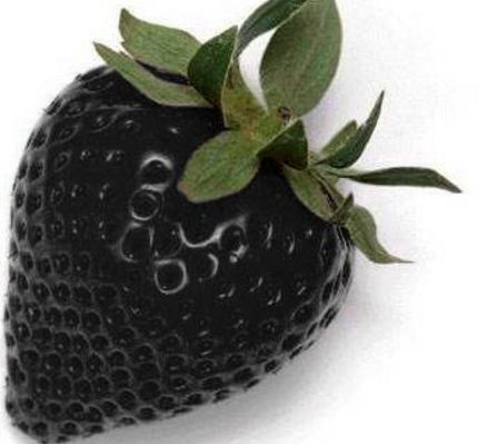 这五种黑色水果,很少有人全见过,吃过三种以上不是土豪就是吃货|黑