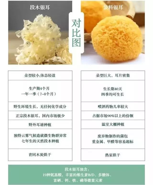 段木银耳,就是古时候被进贡到宫廷的银耳.