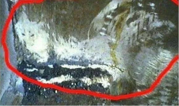 老艺术家被出马仙反噬接连出事香港温莎大厦狐仙作祟的故事