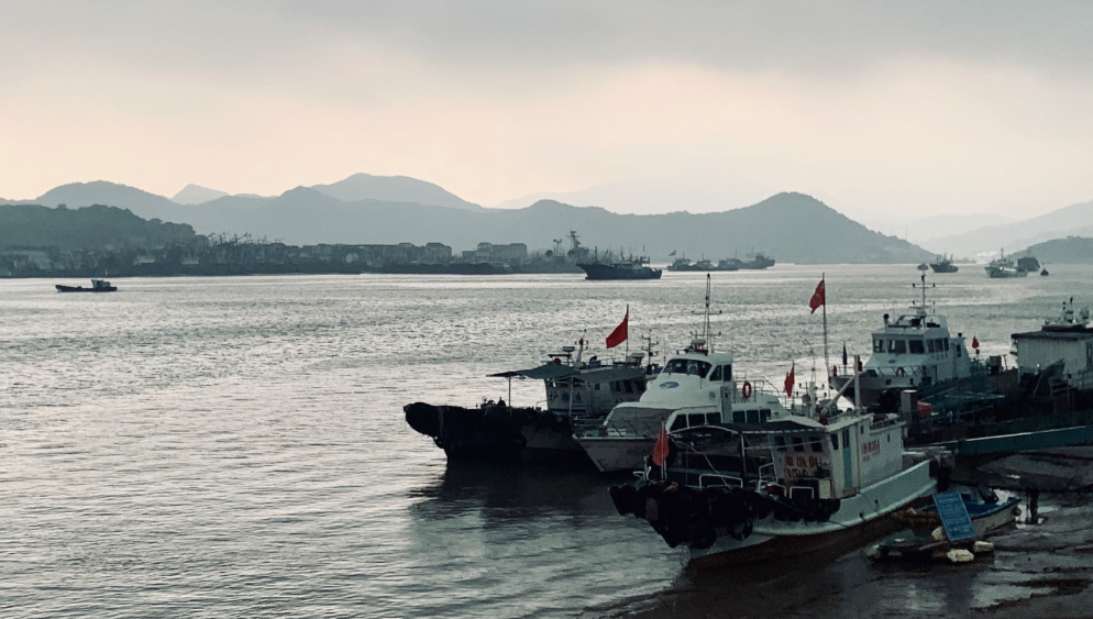 紫金陈的家乡石浦，一座渔港小镇。新京报记者 周小琪 摄
