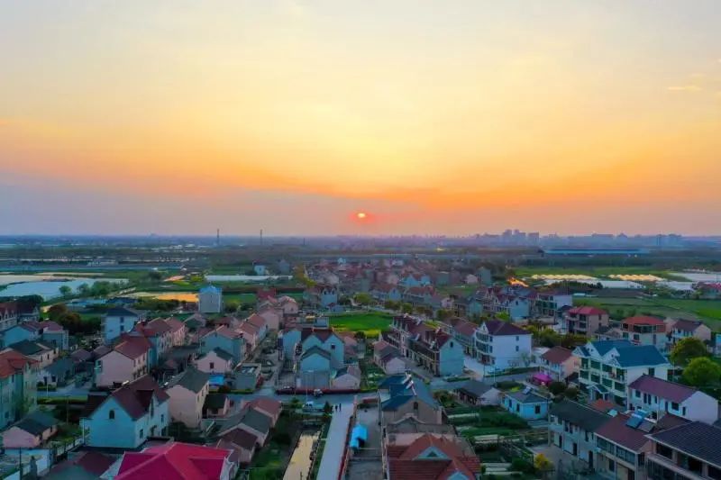 2020浦东新区中考一_从2020年初中一模数据看2021年上海中考(2)