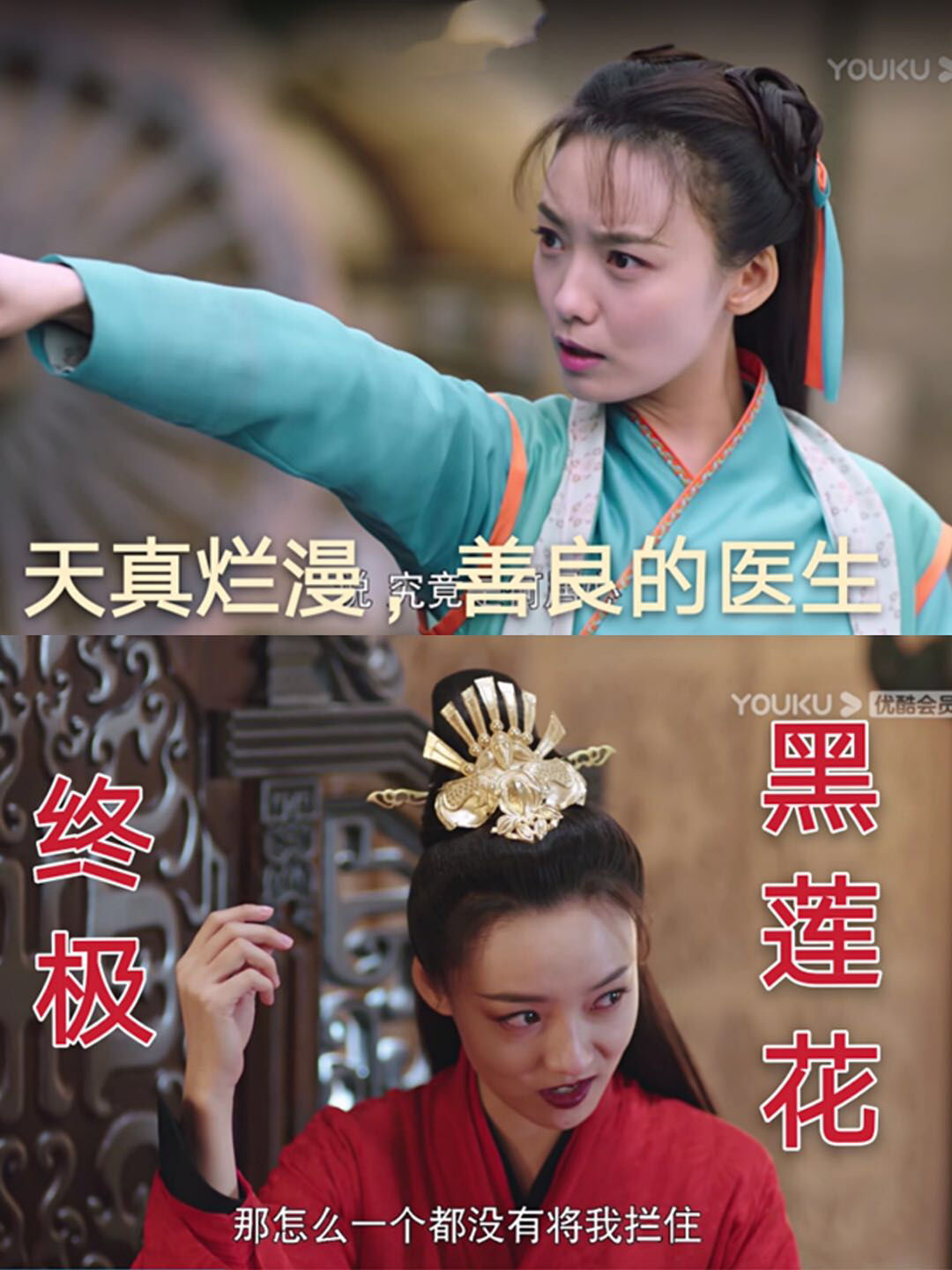 全员黑莲花迷了