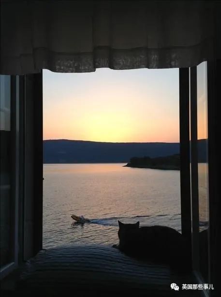 有着神仙窗景的房子光是坐窗边发呆就有满满的幸福感啊