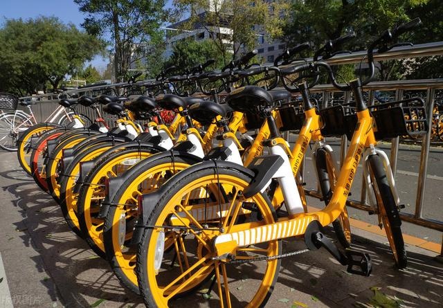 沈阳共享单车调度员的端午假期:比平时忙两三倍