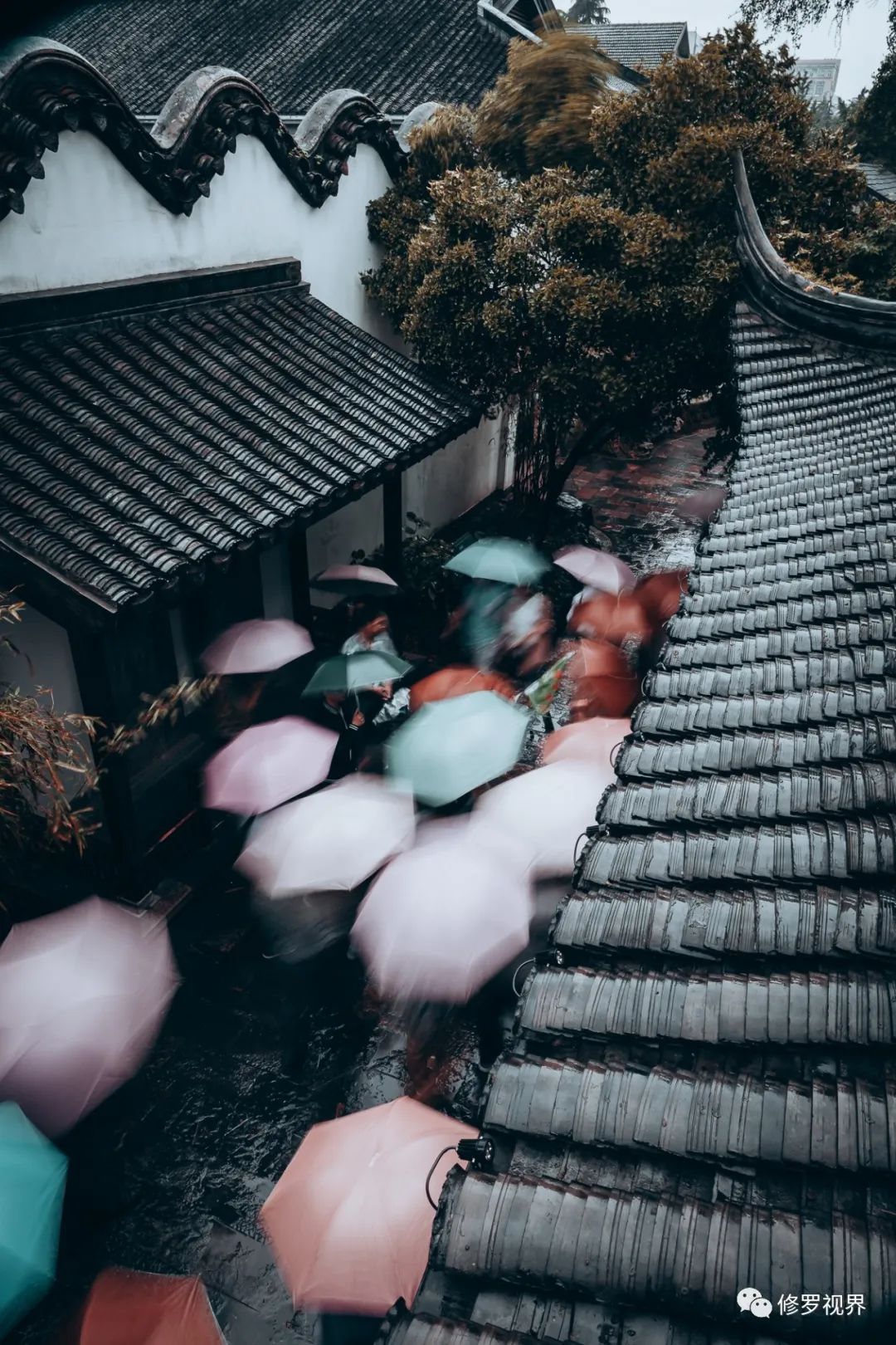 天气预报雨雨雨但南京雨景格外有情调