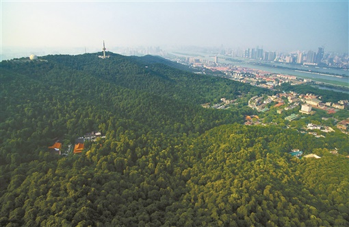 岳麓山:湖湘文化的耀眼坐标