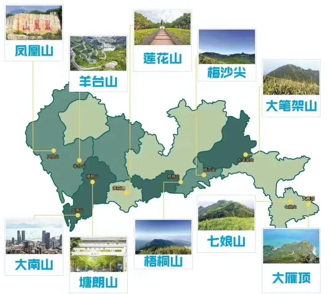 就是有"贼胆"即便有"贼心",也没"贼胆"不要说咱没这"贼心"分布在深圳7