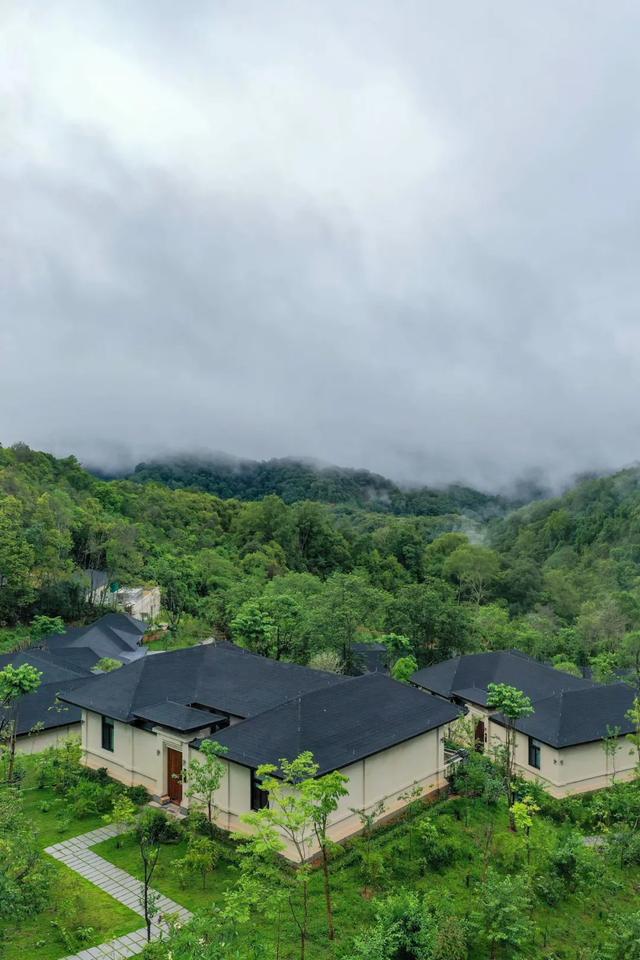 普洱小熊猫庄园童心永驻星月相伴