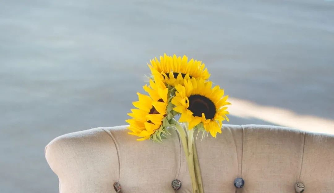 品读| 没有退路,才会义无反顾