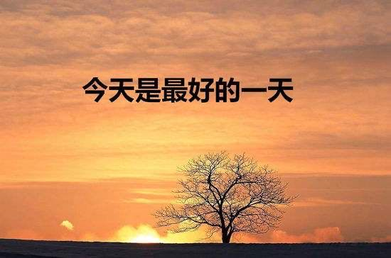 把握好每个今天,人生是今天的扩大版.在时间的大钟上,只有两个字现在.