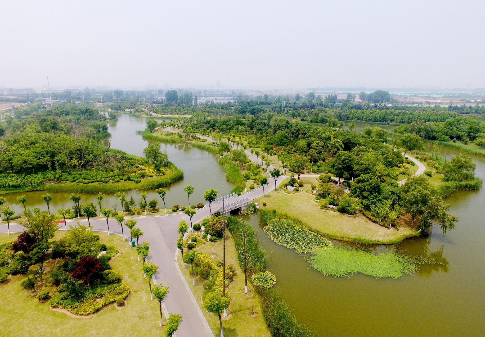 徐州经开区大黄山街道:项目嵌在绿水青山里 经济生态双丰收