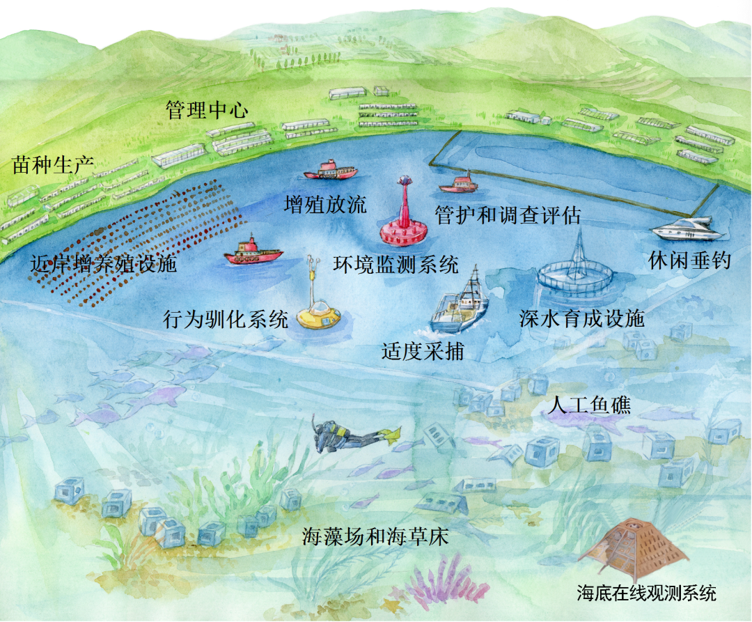 年产值20亿!10家国家级海洋牧场在这建设