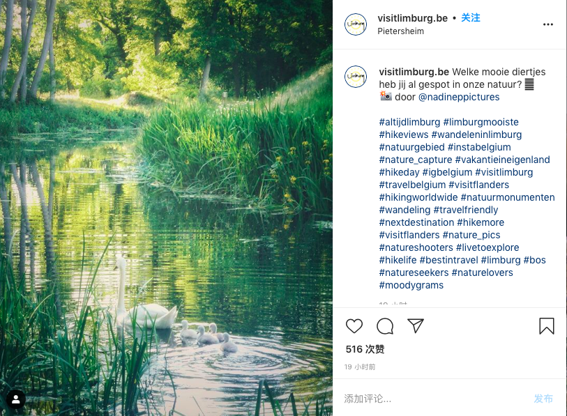 比利时林堡省风光 visitlimburg.be ins 账号截图