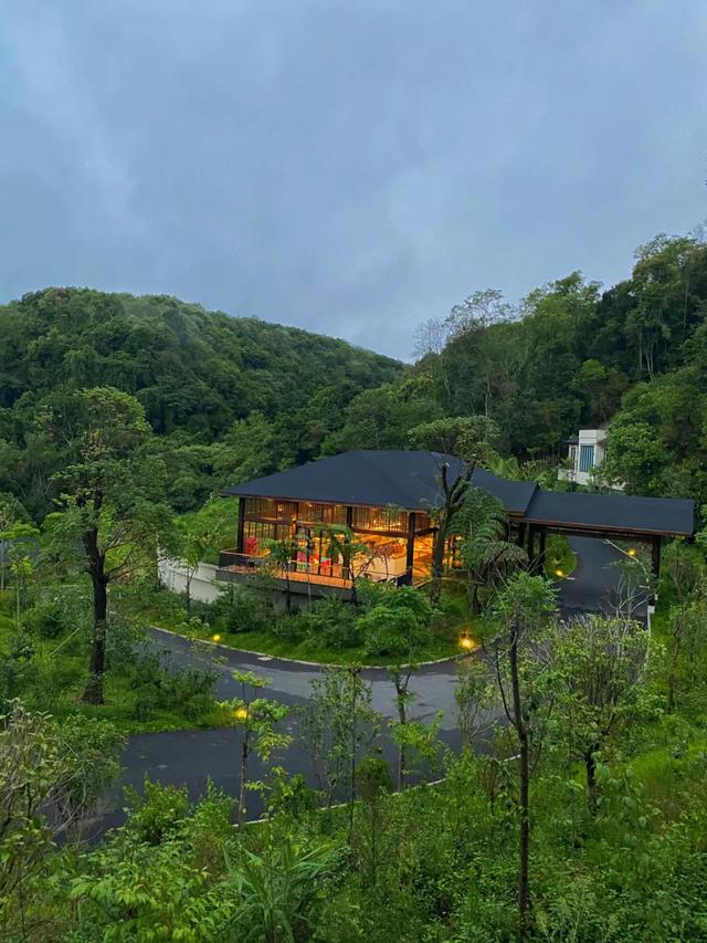 普洱小熊猫庄园童心永驻星月相伴