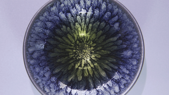 百花成盏,美不胜收!这朵"爱情花"背后有一段浪漫的故事