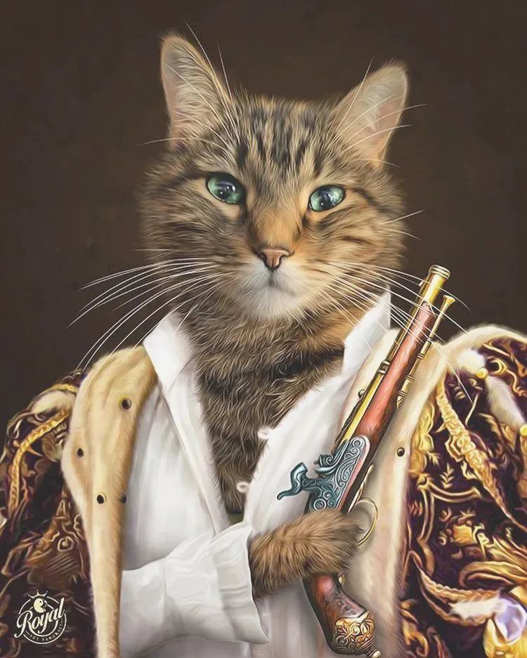 十二生肖没猫真是太太太可惜,不然属猫的人就会是这样!