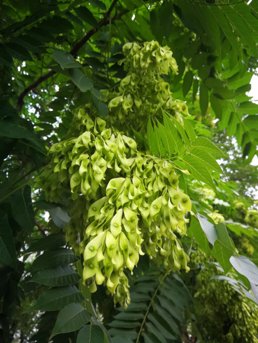 什么东西这么臭啊