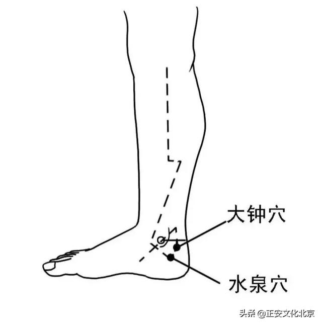 浩然之气,由"肺"主之