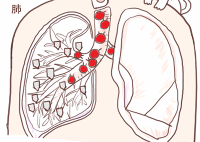 400_284gif 动态图 动图