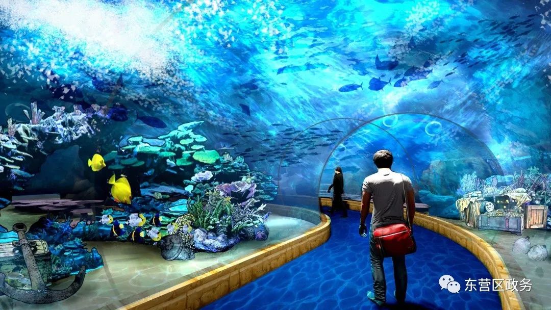 东营首家海洋亲子公园落地这里